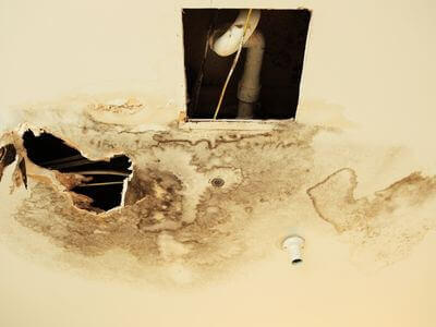 Professional emergency water extraction services services in Vero Beach - water damage restoration service